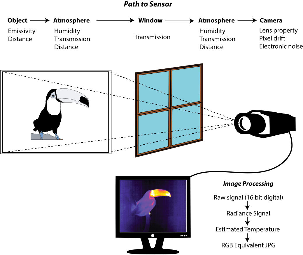 4. Thermal Imaging Background.png