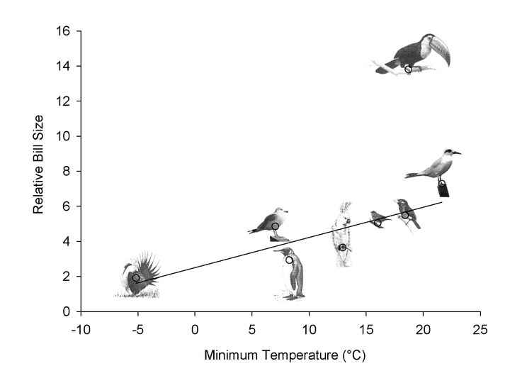 28457_650476224170_878108_n