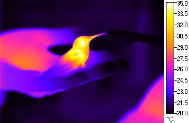 10959690_1418895448408128_6118962362051315217_n