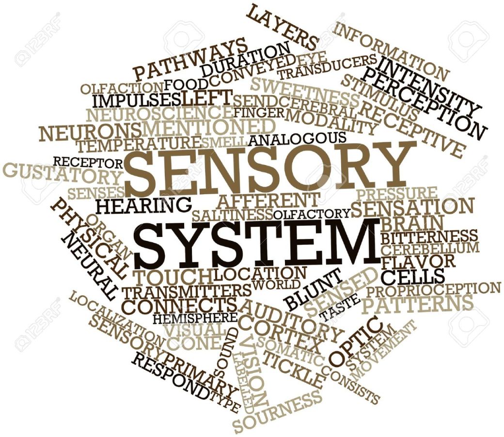 16632980-abstract-word-cloud-for-sensory-system-with-related-tags-and-terms-stock-photo