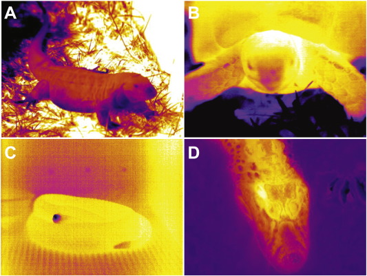 1-s2-0-s1095643316300435-gr9